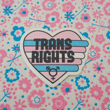 Trans Rights - Vinyl Sticker - Hand Over Your Fairy Cakes - hoyfc.com