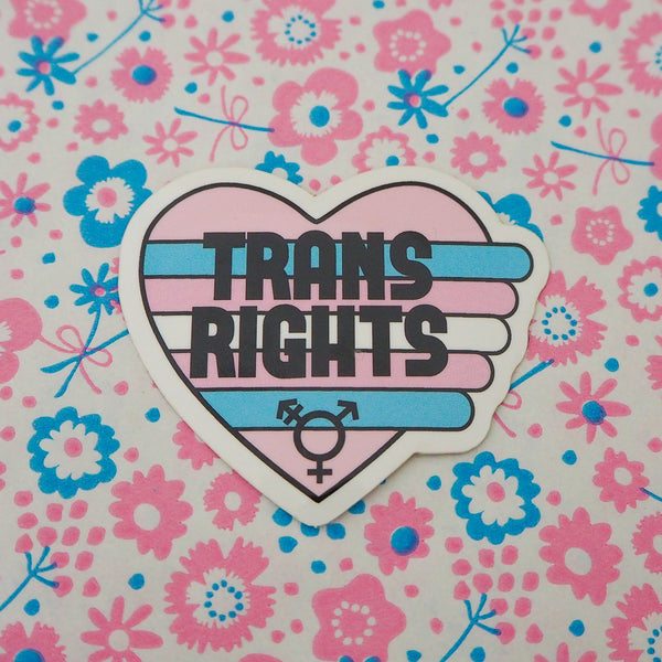 Trans Rights - Vinyl Sticker - Hand Over Your Fairy Cakes - hoyfc.com