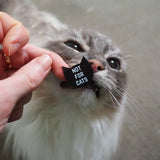 Not For Cats Sticker Sheet