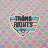 Trans Rights - Vinyl Sticker - Hand Over Your Fairy Cakes - hoyfc.com